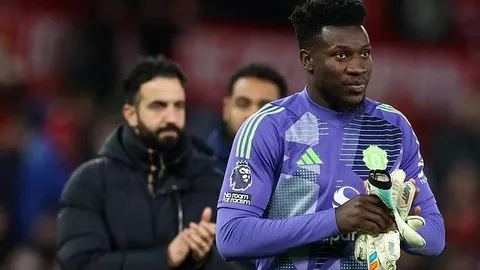 壮丽画卷！成群蛎鹬翱翔似海浪般惊美奇观